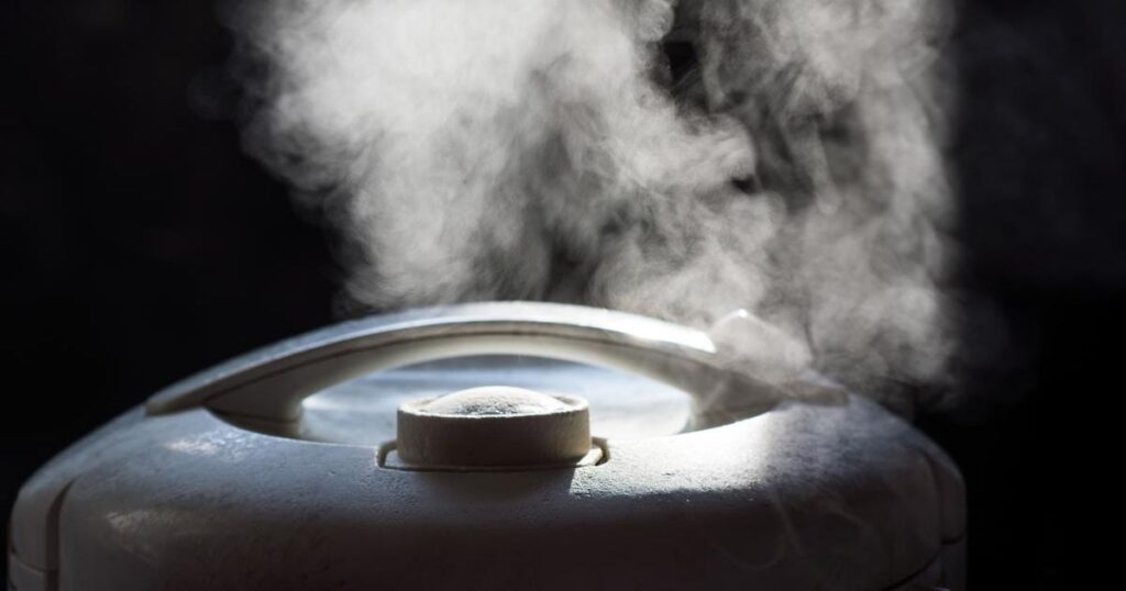 The Science Behind Rice Cooker Heating