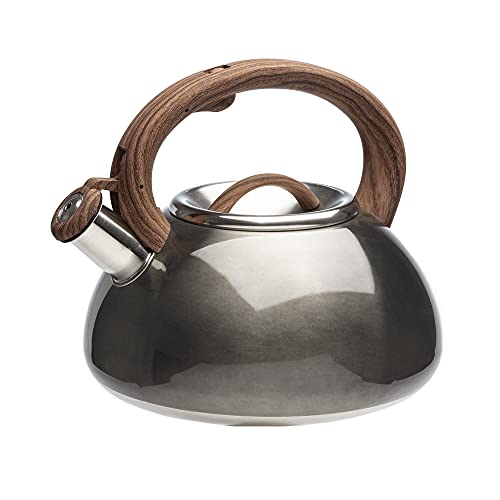 6 best tea kettle for induction stove in 2024
