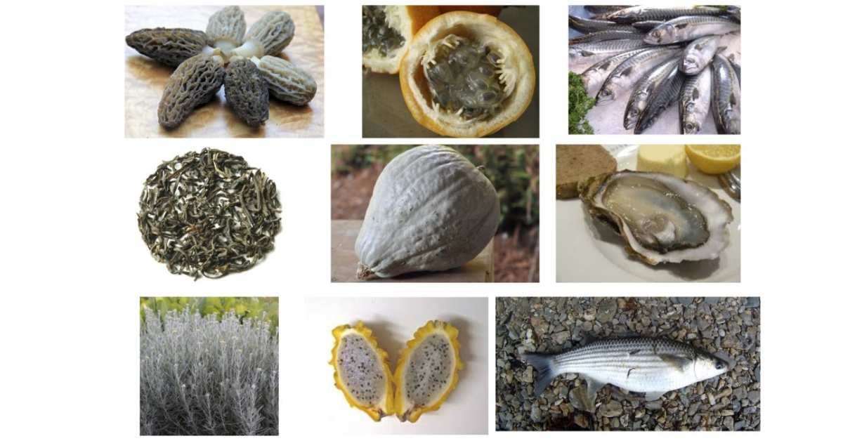 Grey Food Around the World: Discover The Shades of Gray